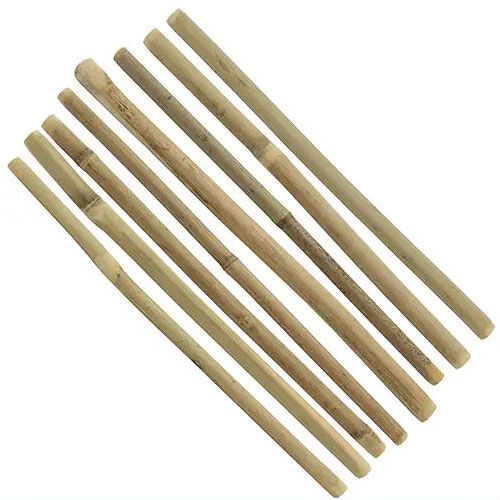 bamboo straws