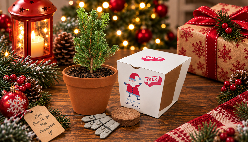 Sow a Little Christmas Magic