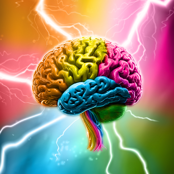 Brainwaves