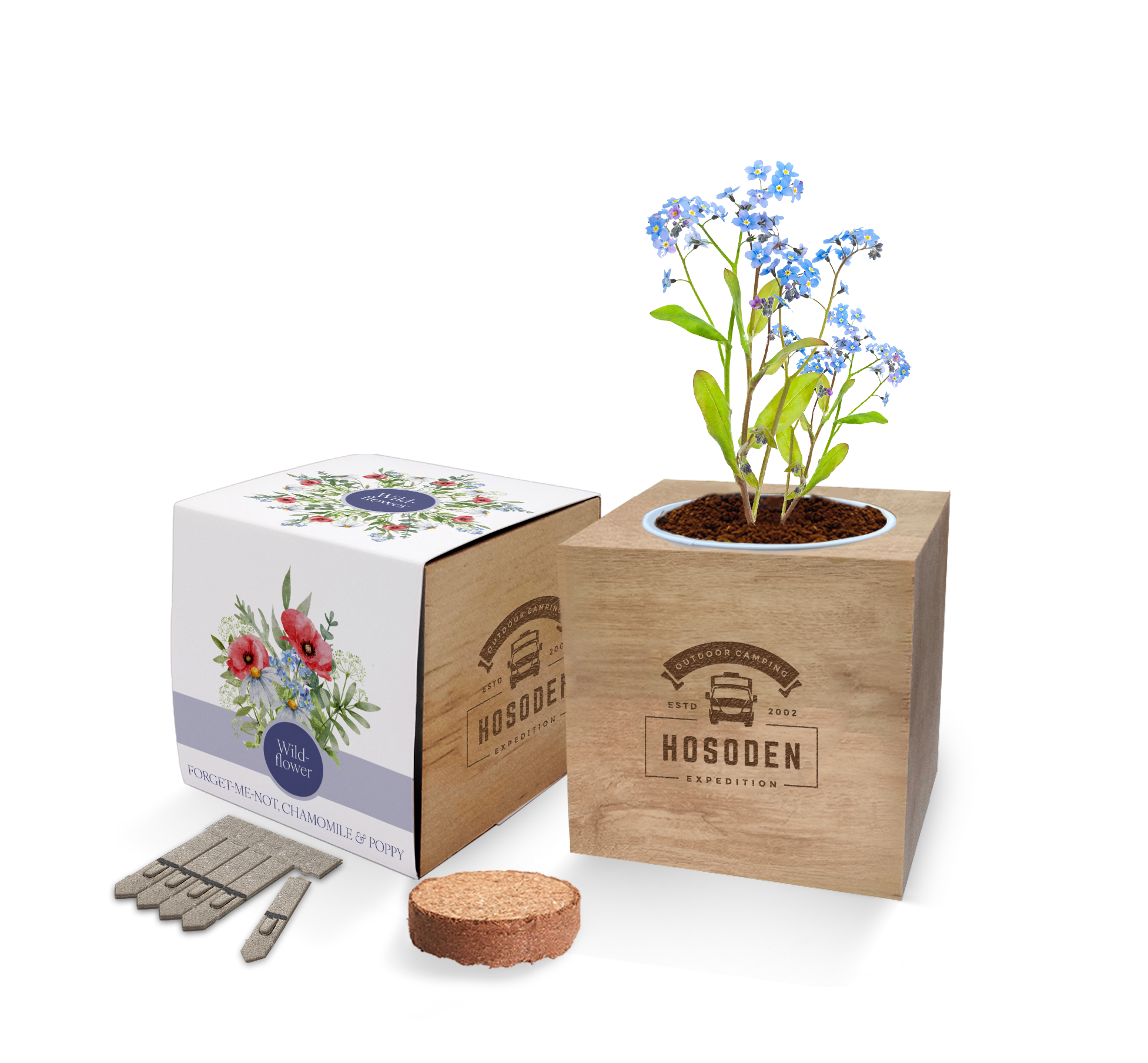 Desktop Cube Gardens