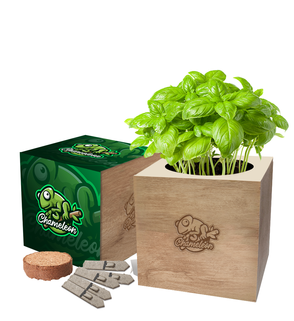 Desktop Cube Gardens