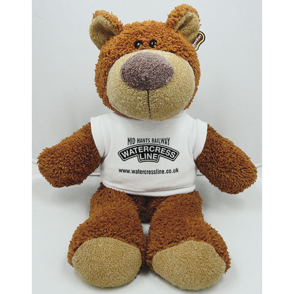 15 Inch Buster Bear with T-Shirt