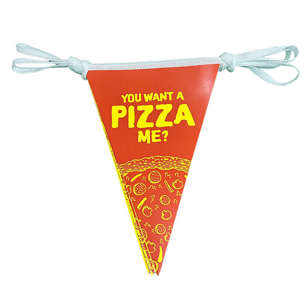 Bunting - White Triangular Pennants