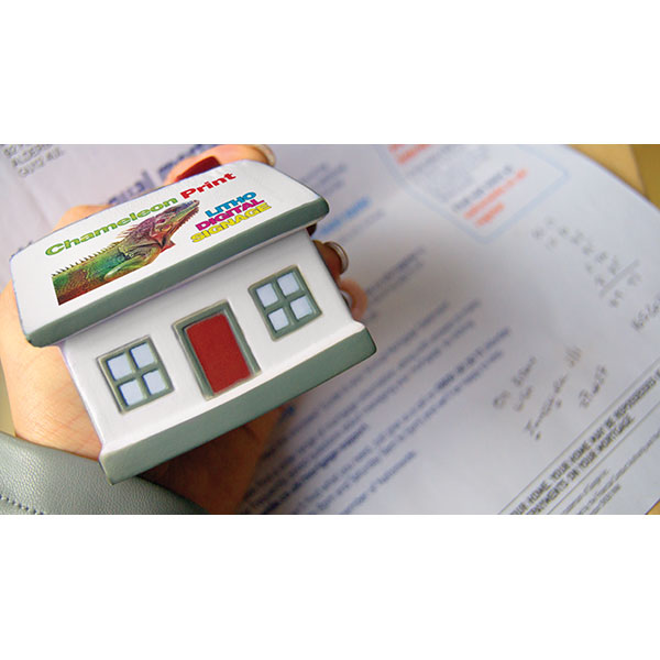 House Stress Ball - Full Colour