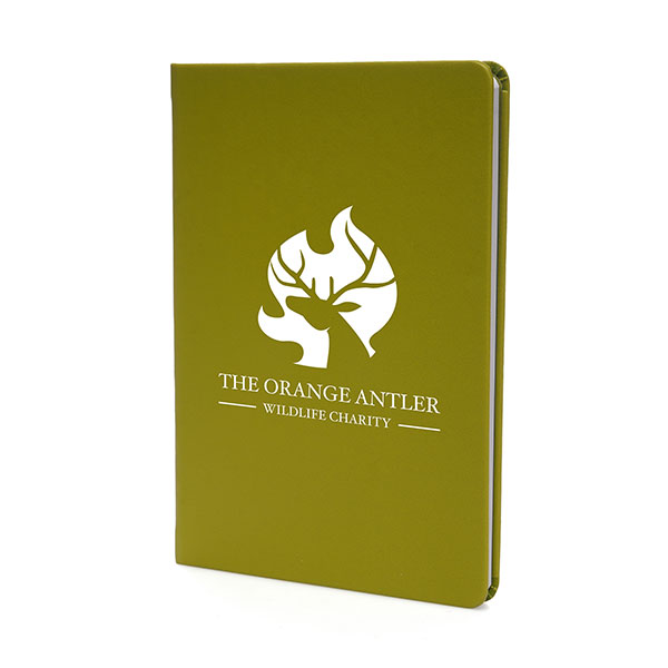 A5 Apple Skin Notebook - 1 Colour