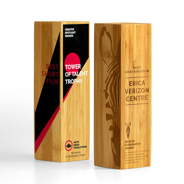 Solid Moso Bamboo Column Award