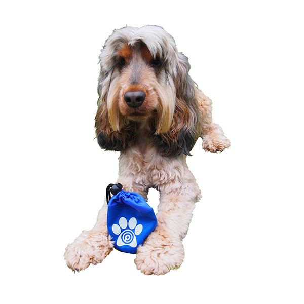 Dog Treat Bag