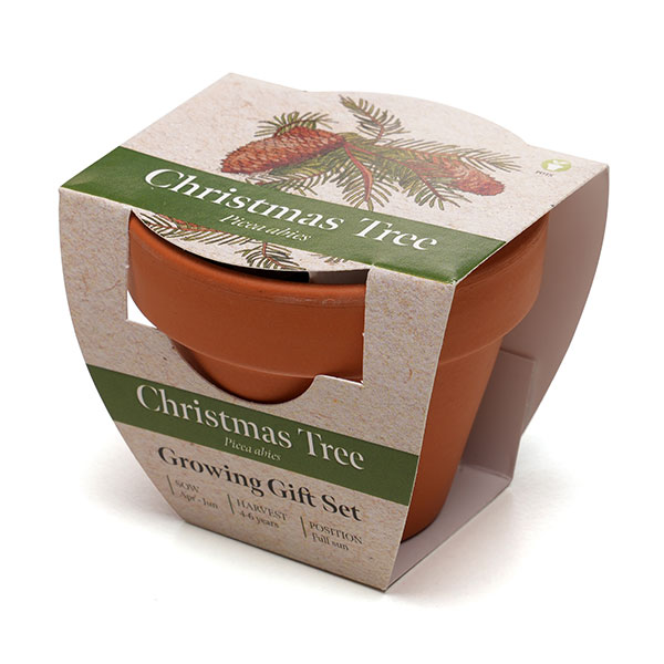 Terracotta Flower Pot