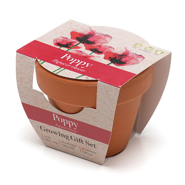Terracotta Flower Pot