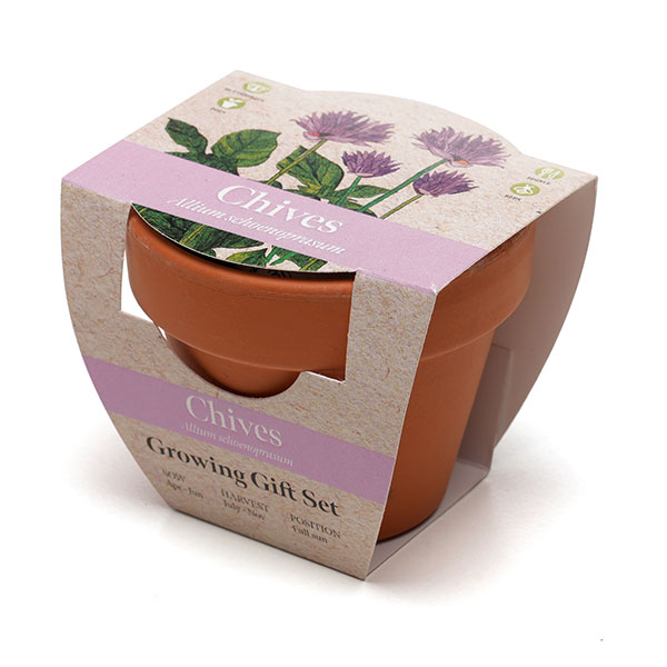Terracotta Flower Pot