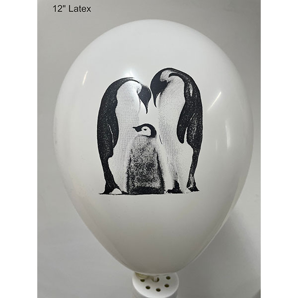 12 Inch Balloons