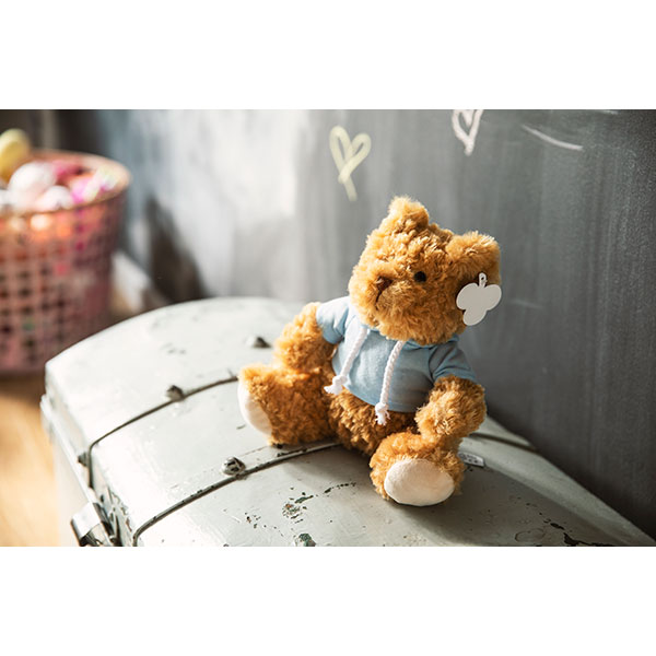 Teddy Bear with Hoodie