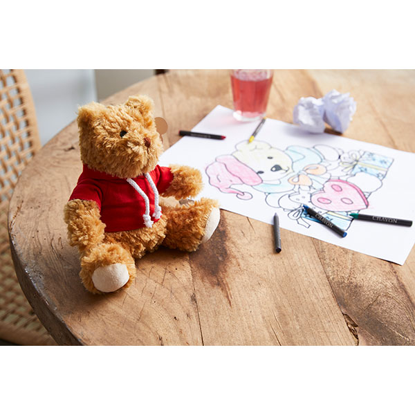 Teddy Bear with Hoodie
