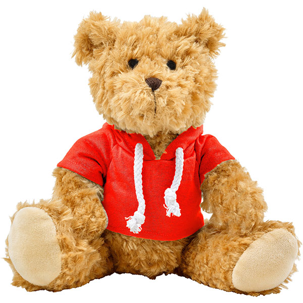 Teddy Bear with Hoodie