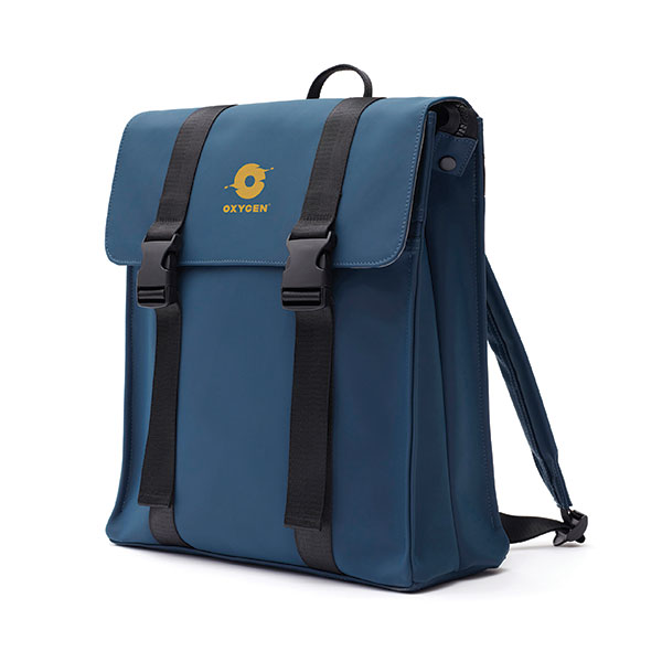 Vinga Baltimore Backpack