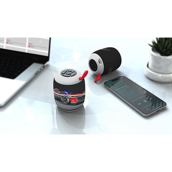 Indus Speaker - Full Colour